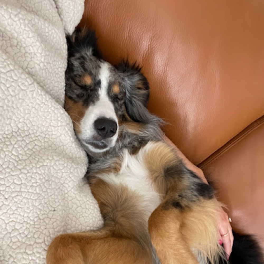 Meet your Posher, Laura